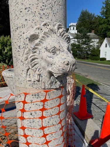 5 Lion