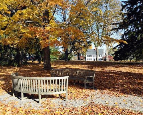 Benches in Green 500